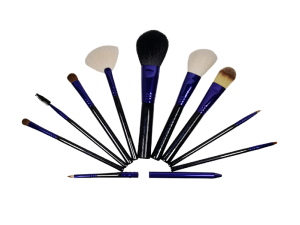 KIT PINCEL 10 PEÇAS C/ NECESSARIE ROXO